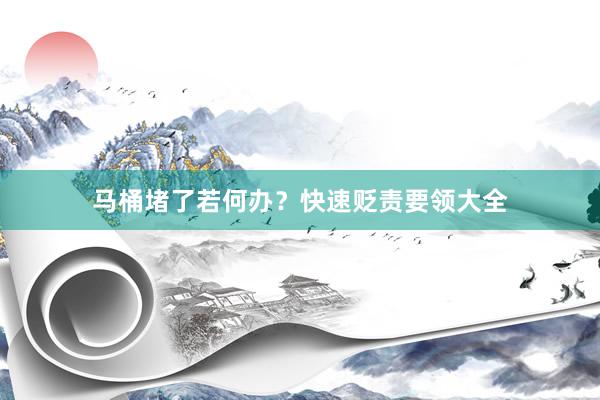 马桶堵了若何办？快速贬责要领大全