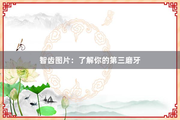 智齿图片：了解你的第三磨牙