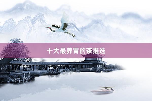 十大最养胃的茶推选